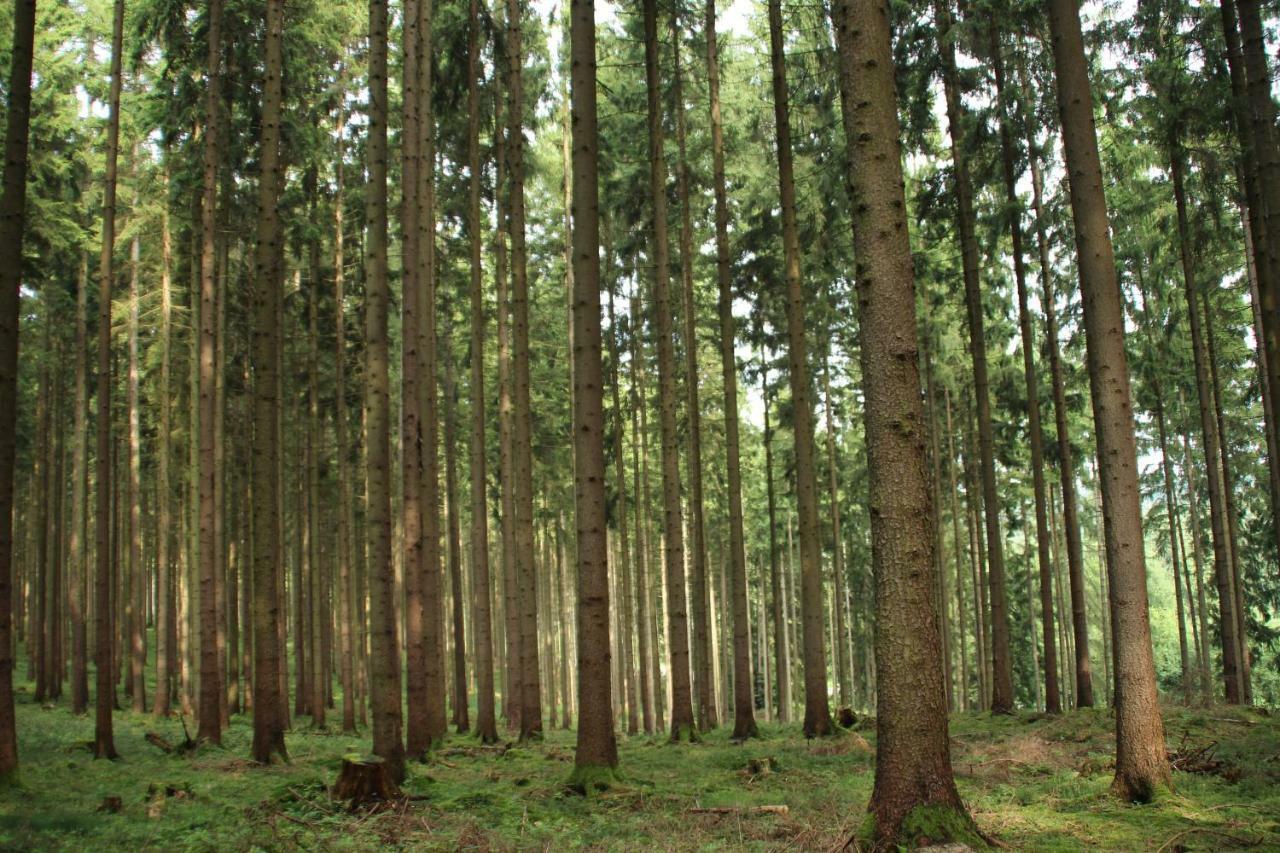 Ferienhaus "Gestiefelter Kater" Am See Im Bergland Kirchheim  Exteriér fotografie